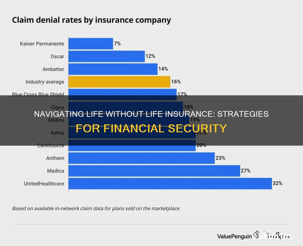 what to do if you can t get life insurance