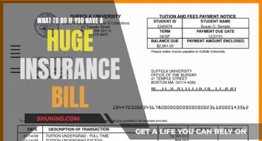 Strategies for Managing a Hefty Insurance Bill