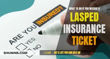 Navigating the Consequences: What to Do When You Receive a Lapsed Insurance Ticket