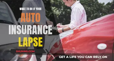 Understanding Your Options After a Lapse in Auto Insurance