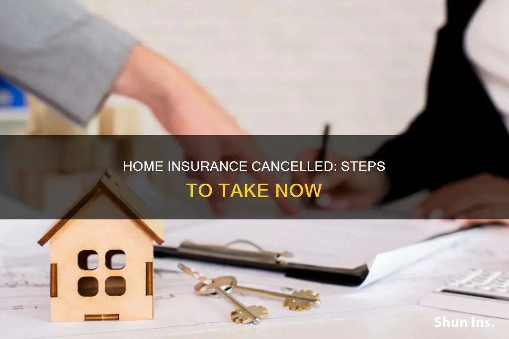 what to do if your homeowners insurance is cancelled