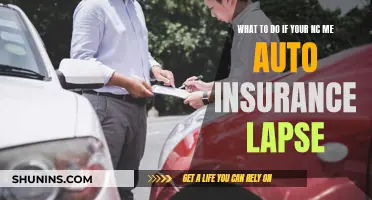 Understanding Your Options After an Auto Insurance Lapse