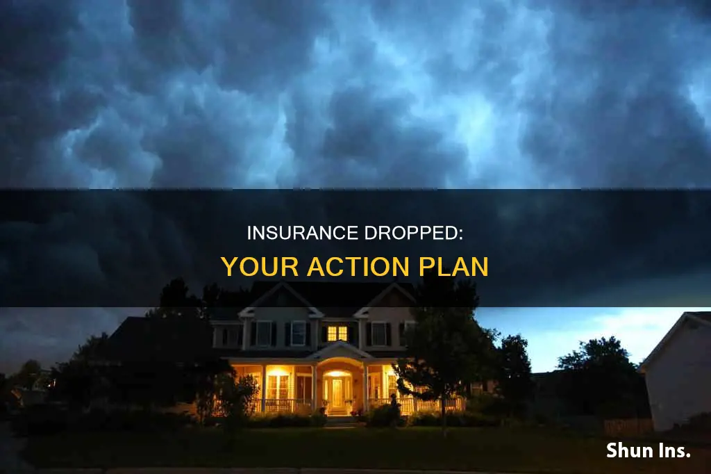 what to do when house insurance dropped