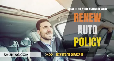 Navigating Options When Your Auto Insurance Won't Renew