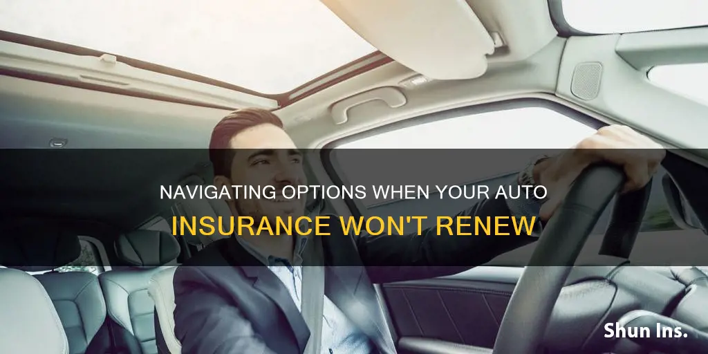 what to do when insurance wont renew auto policy