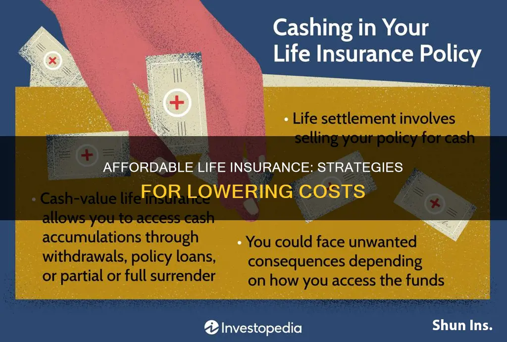 what to do when life insurance is too expensive