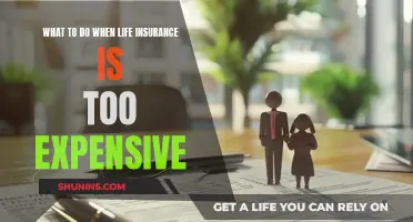 Life Insurance: Strategies for Affordability