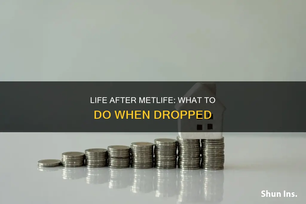 what to do when met life cancelled homeowners insurance