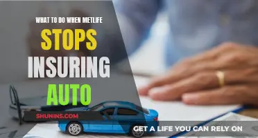 MetLife's Exit: Exploring Auto Insurance Alternatives