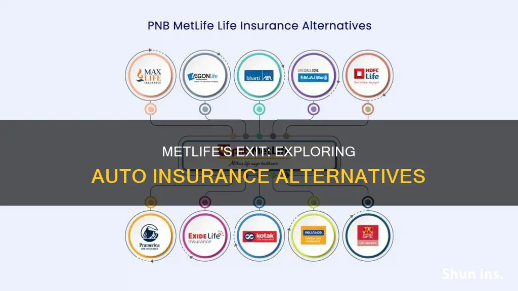 what to do when metlife stops insuring auto