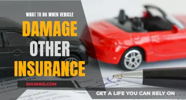 Vehicle Damage: Whose Insurance Pays?