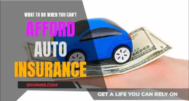 Strategies for Managing Auto Insurance Affordability Issues