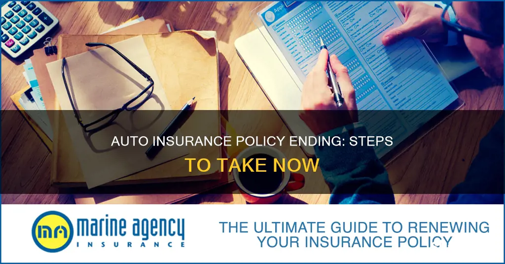 what to do when your auto insurance policy ends