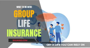 Life Insurance: Group Benefits and Your Options