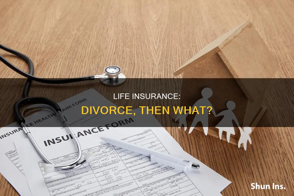 what to do with life insurance after divorce