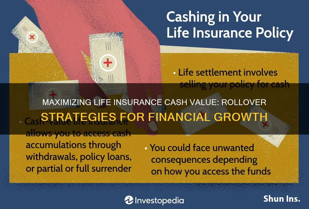 what to do with life insurance cash value rollover