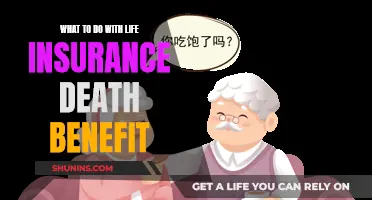 Life Insurance Death Benefit: Options and Opportunities