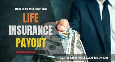 Life Insurance Payout: Smart Strategies for Your Windfall