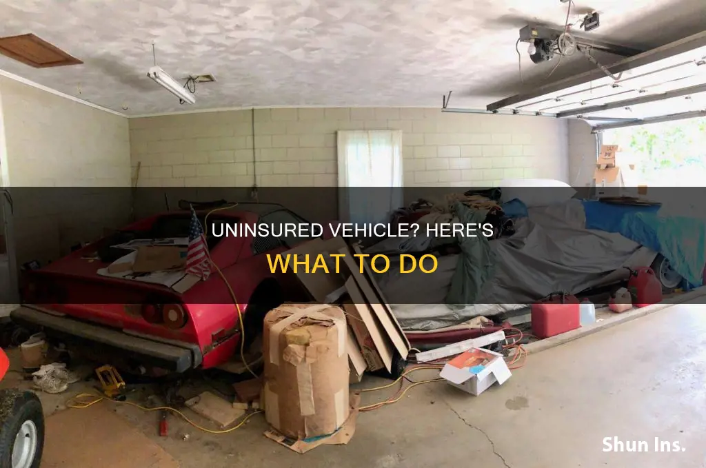 what to do with vehicle that isn