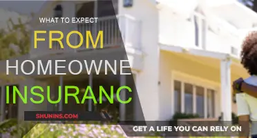 Home Insurance: What You Need to Know