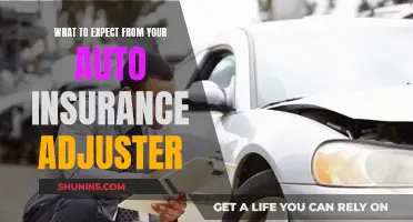 Your Auto Insurance Adjuster: What They Do and Don't