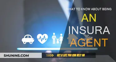Insurance Agent: What You Need to Know