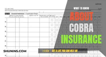 Cobra Insurance: Navigating Your Rights and Options