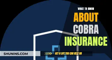 Understanding Cobra Insurance: What You Need to Know