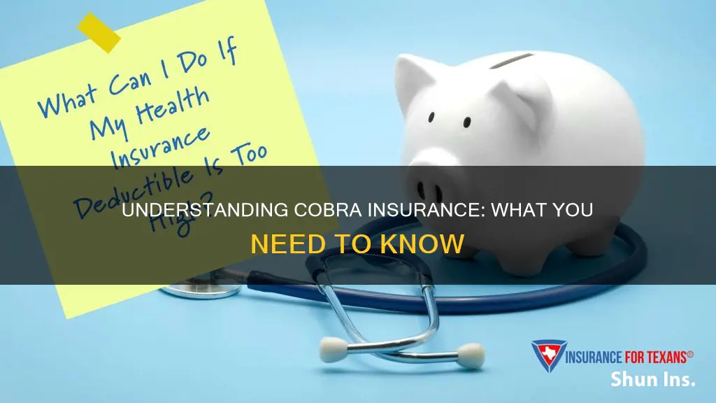 what to know about cobra insurance