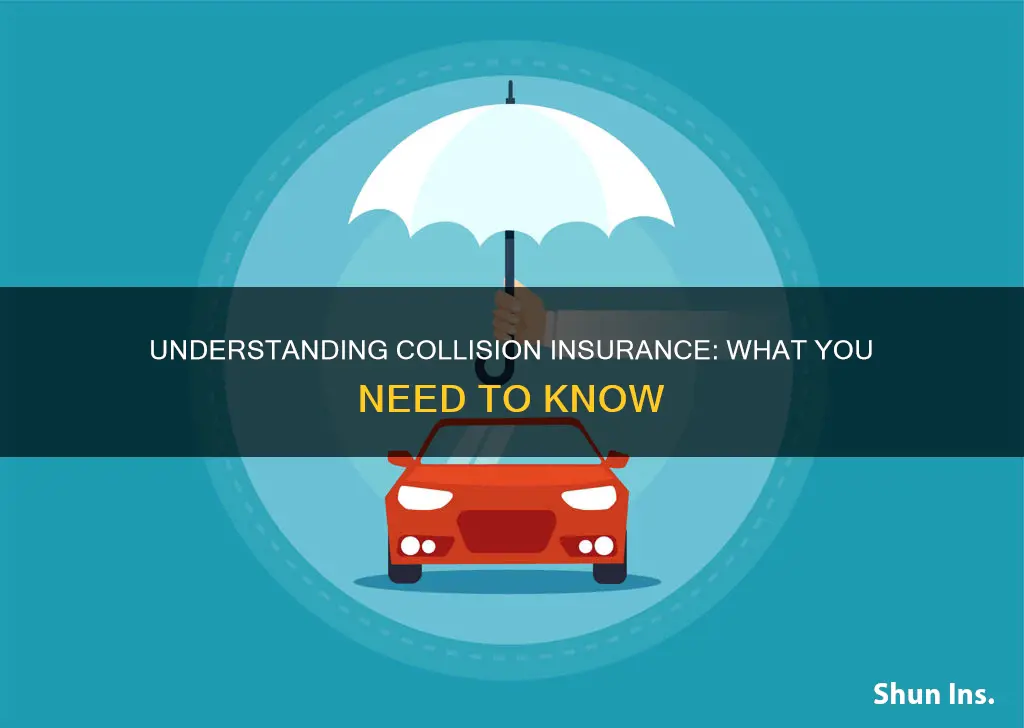 what to know about collision insurance