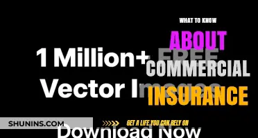 Commercial Insurance: What You Need to Know
