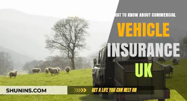 Commercial Vehicle Insurance: What UK Businesses Need to Know