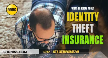 Identity Theft Insurance: What You Need to Know