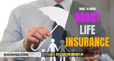 Life Insurance: What You Need to Know