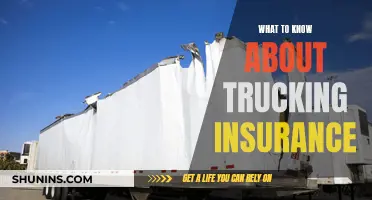 Trucking Insurance: What You Need to Know