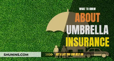 Umbrella Insurance: What You Need to Know