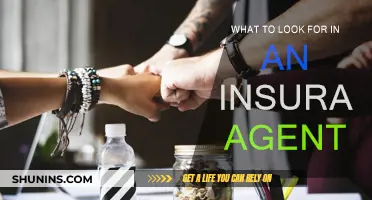 Key Traits of a Great Insurance Agent