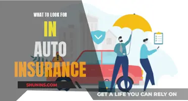 Auto Insurance: What to Look For