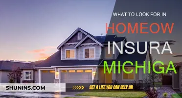 Key Considerations for Homeowners Insurance in Michigan