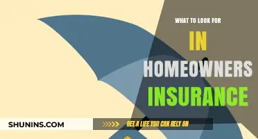 Home Insurance: Key Considerations for Homeowners