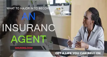Insurance Agent Career: Choosing the Right College Major