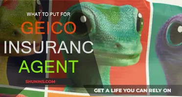 Geico Insurance: What to Put, and Why