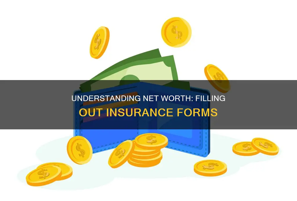 what to put for total net worth on insurance form