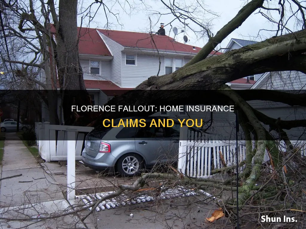 what to report on homeowners insurance after hurricane florence
