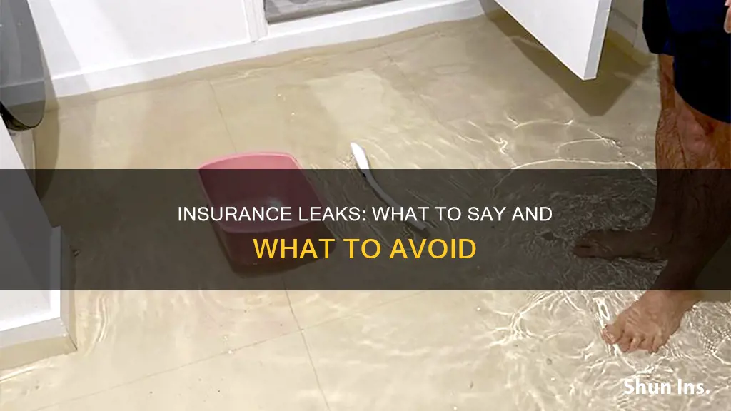 what to say and not say to homeowner insurance leaks