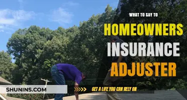 Insurance Adjuster: What to Say and What Not to Say
