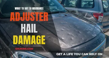 Navigating the Conversation with Insurance Adjusters: Understanding Hail Damage Claims