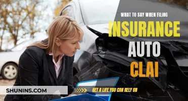 How to File an Auto Insurance Claim: What to Say