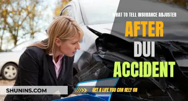 Navigating Insurance Claims: Your Rights and Responsibilities After a DUI Accident