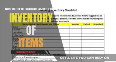 **Documenting Your Property: A Guide to Inventory Lists for Insurance Adjusters** 